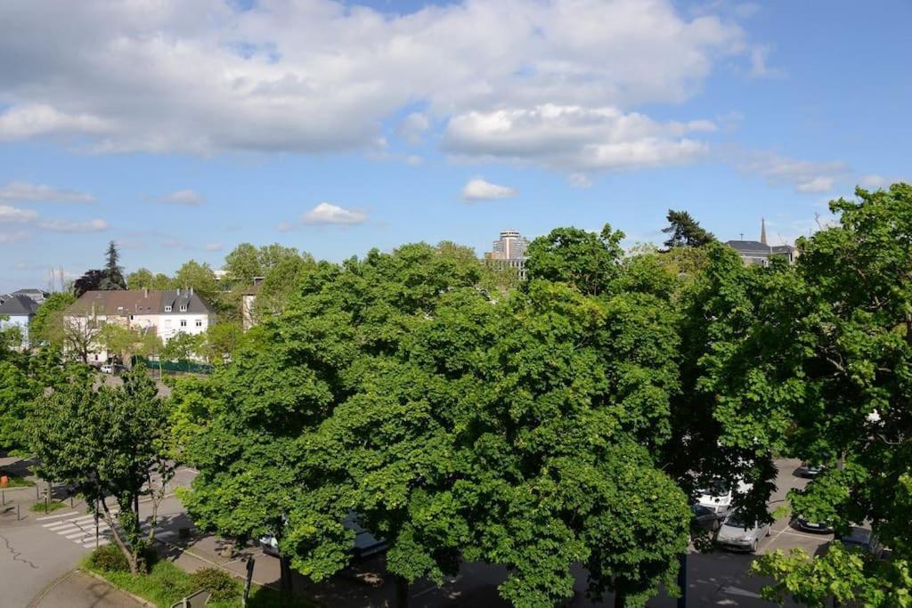 Appartement Charmant Tres Proche Centre-Ville, Parking Gratuits, Mulhouse Centre Eksteriør billede